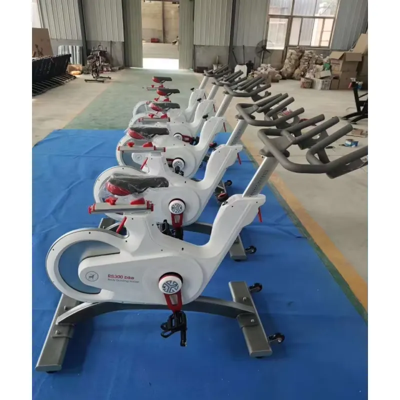 Cyclette Professionale con Res - Exercise Bike Magnetic Resistance recensione e prezzo