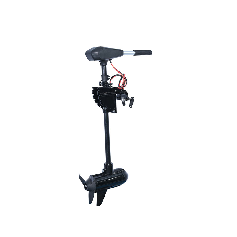 Motore Marino Brushless 48V pe - Fishing recensione e prezzo